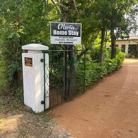 Olivia Homestay Anuradhapura Ngoại thất bức ảnh
