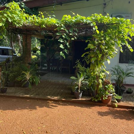 Olivia Homestay Anuradhapura Ngoại thất bức ảnh