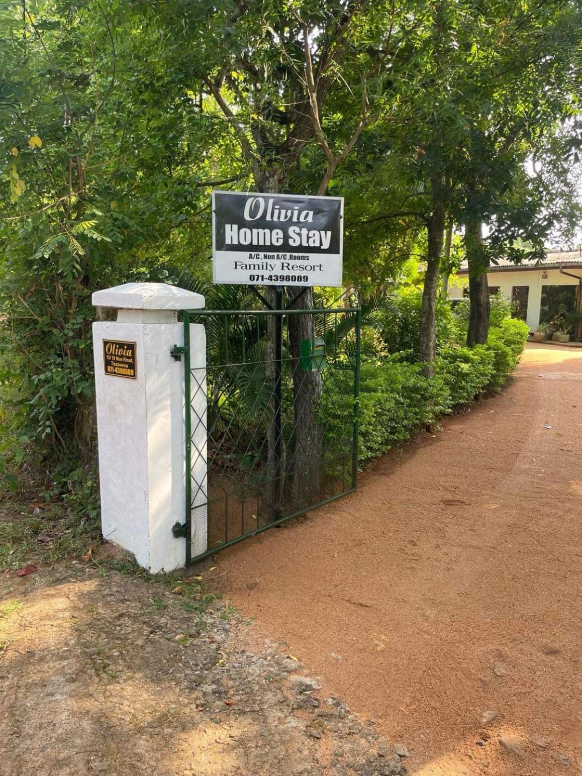 Olivia Homestay Anuradhapura Ngoại thất bức ảnh