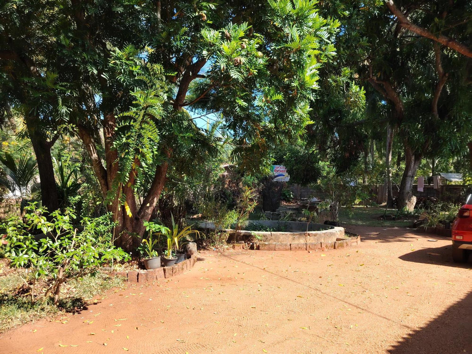 Olivia Homestay Anuradhapura Ngoại thất bức ảnh
