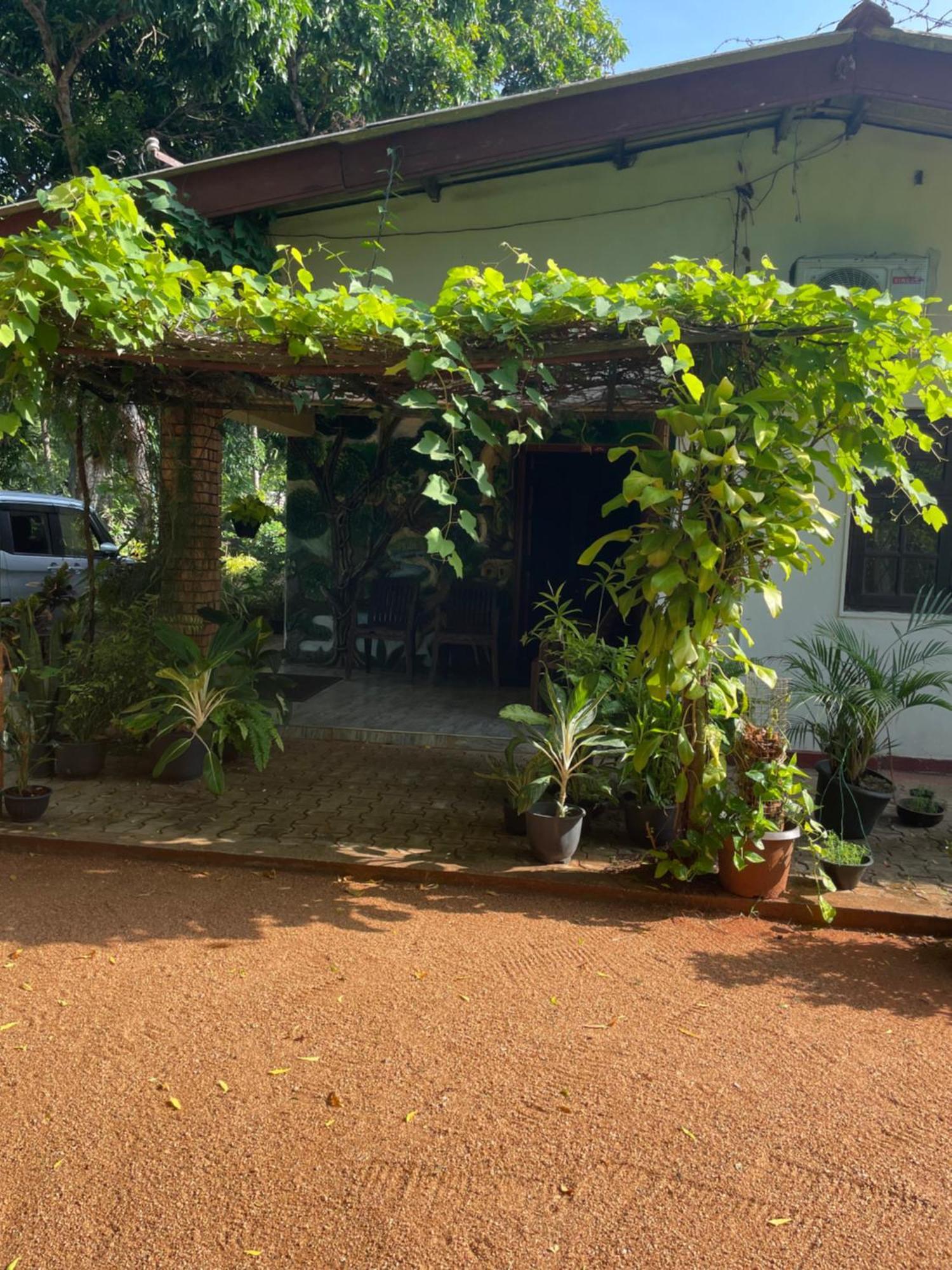 Olivia Homestay Anuradhapura Ngoại thất bức ảnh