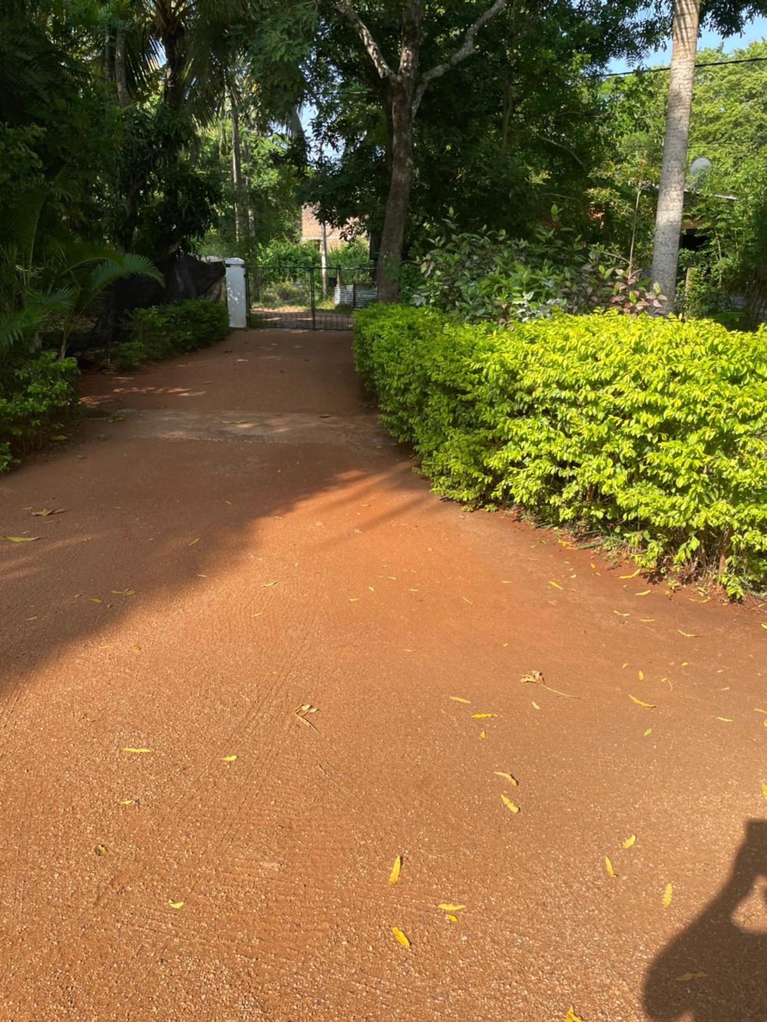 Olivia Homestay Anuradhapura Ngoại thất bức ảnh